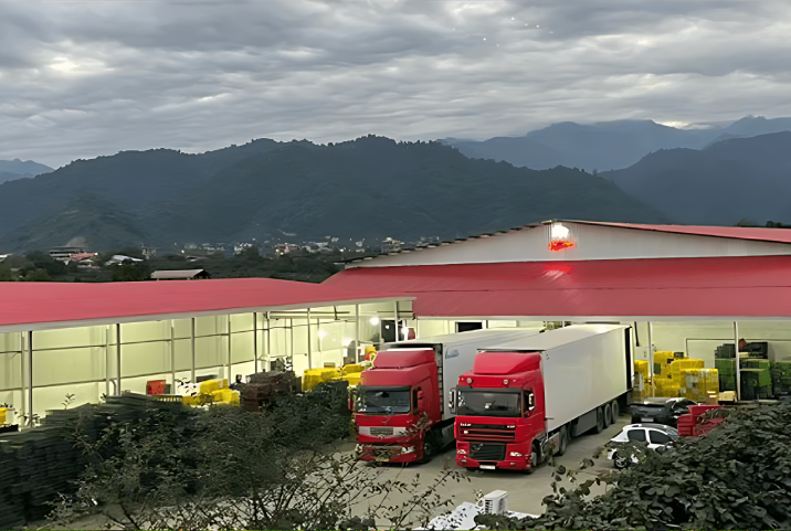 Types of Cold Storage Facilities and Their Applications