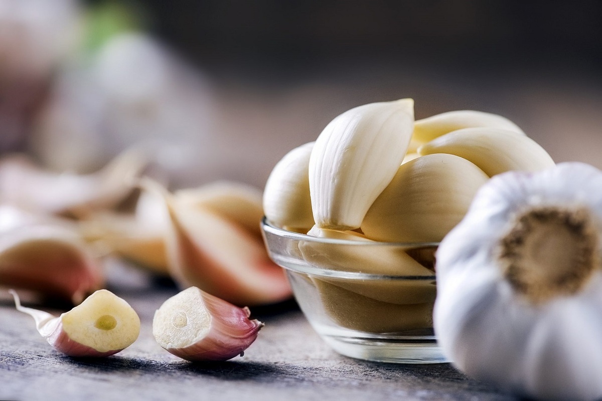 Garlic