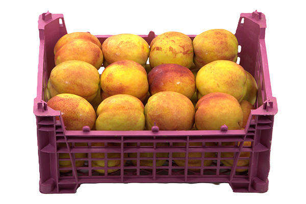 Nectarine