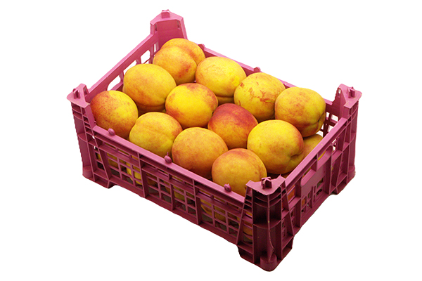 Nectarine