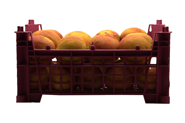Nectarine