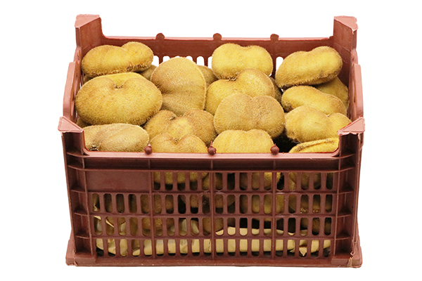 Twin Kiwi _twelve_ kilogram crate