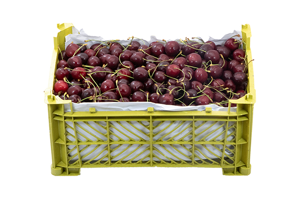 Sweet Cherries