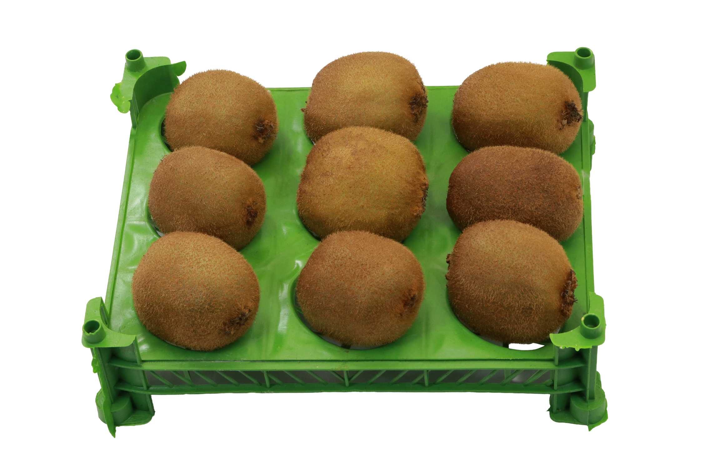 کیوی تک ردیف 12 تایی