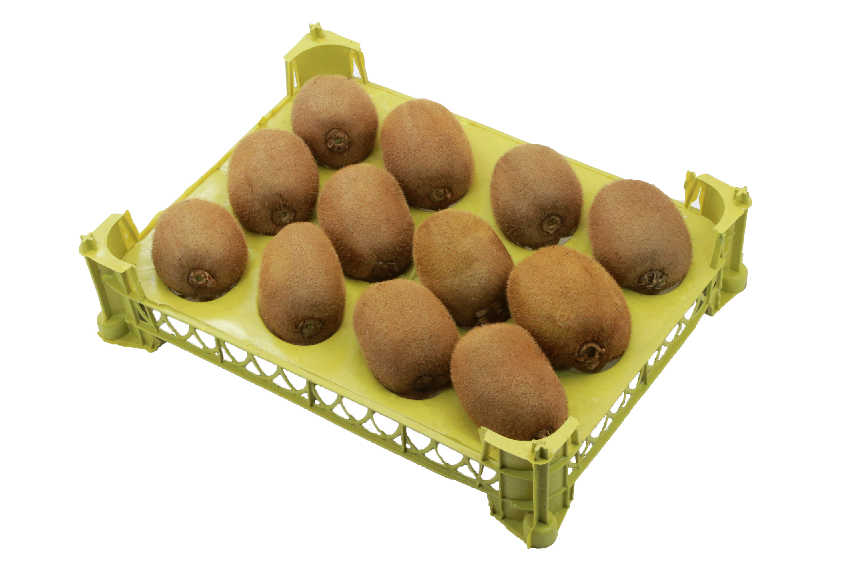 کیوی تک ردیف 12 تایی