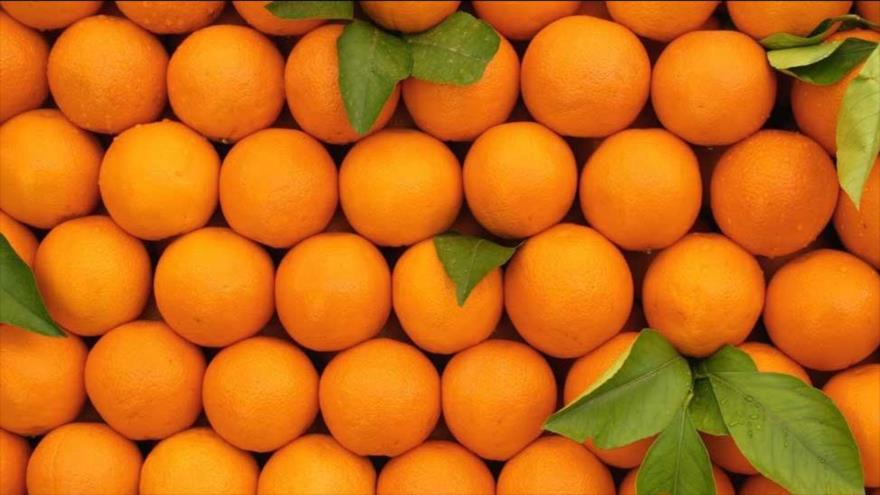 محصول پرتقال