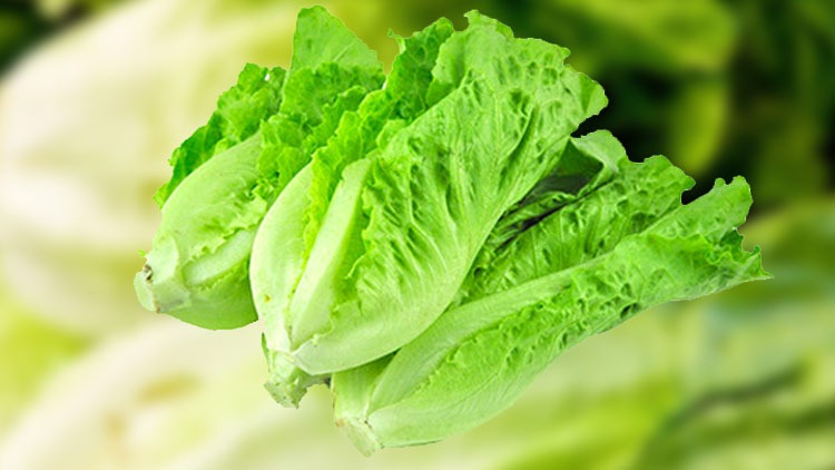 Lettuce product